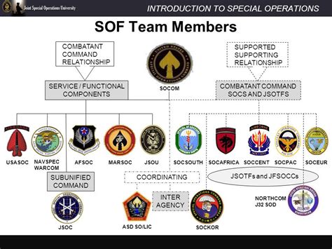 special forces task org